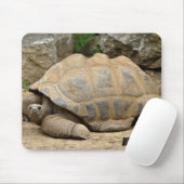 Smiling Tortoise マウスパッド (マウス)