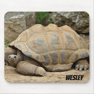 Smiling Tortoise  マウスパッド