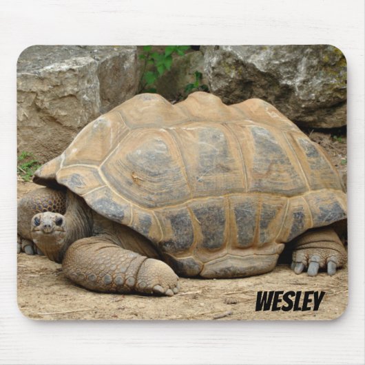 Smiling Tortoise マウスパッド (正面)