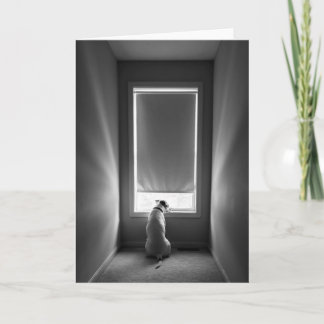 Smokey's Place (dog by window) 空白の Greeting Card カード