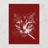 Smoking Cat Funny ポストカード (正面)