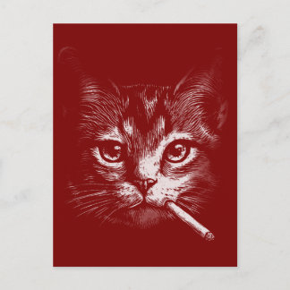 Smoking Cat Funny  ポストカード
