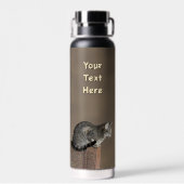 Smoky Gray Tabby Cat ウォーターボトル (背面)