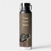 Smoky Gray Tabby Cat ウォーターボトル (正面)