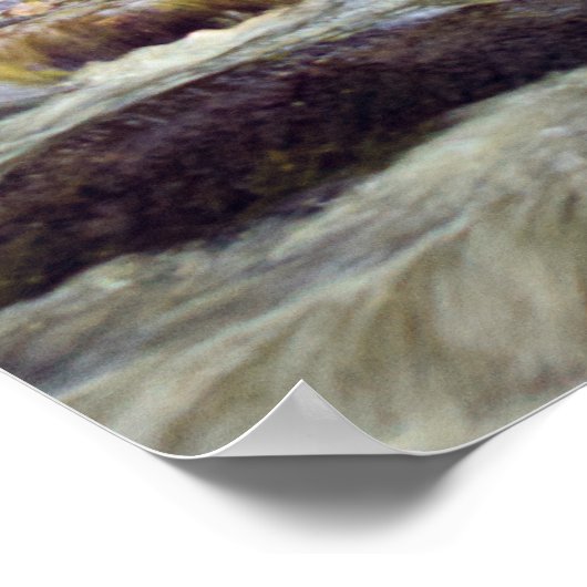 Smoky Mountain Stream  -  GSMNP ポスター (角)