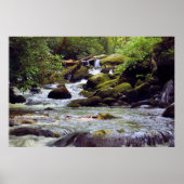 Smoky Mountain Stream  -  GSMNP ポスター (正面)