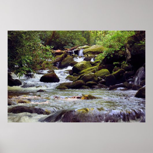 Smoky Mountain Stream  -  GSMNP ポスター (正面)
