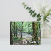 Smoky Mountains Cataract Falls Hiking Trail View  ポストカード (スタンド正面)
