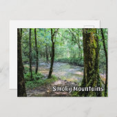 Smoky Mountains Cataract Falls Hiking Trail View  ポストカード (正面/裏面)