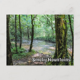 Smoky Mountains Cataract Falls Hiking Trail View  ポストカード