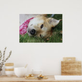 Smoochie ポスター (キッチン)