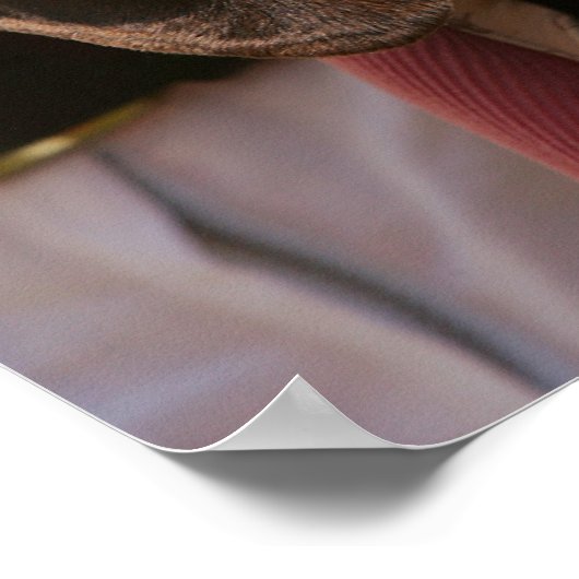 Smooth-haired Miniature Dachshund Puppy ポスター (角)