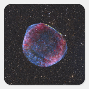 SN1006超新星レマンの合成画像 スクエアシール