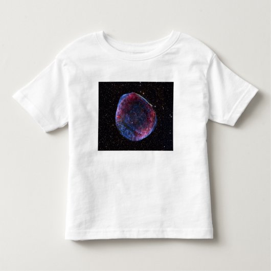 SN1006超新星領域の合成画像 トドラーTシャツ (正面)
