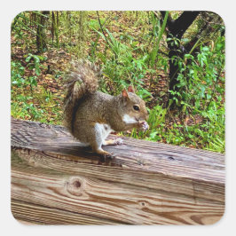 Snack Attack スクエアシール