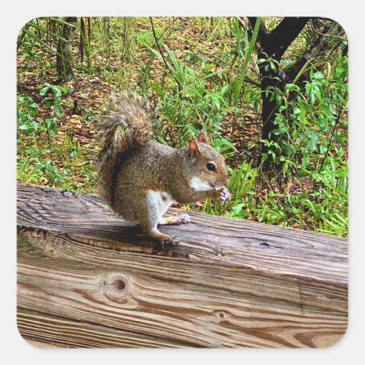 Snack Attack スクエアシール (正面)