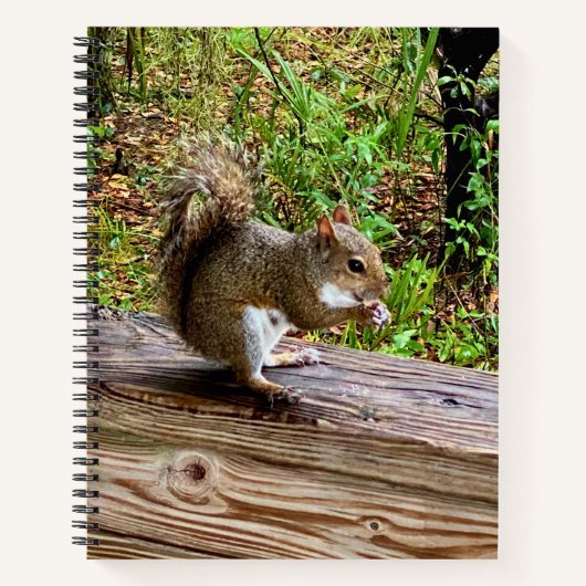 Snack Attack ノートブック (正面)