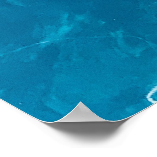 Snack Attack Shark – Summer Poster ポスター (角)