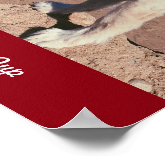 @SnaggleToofPup ポスター (角)