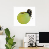 Snail and apple ポスター (ホームオフィス)