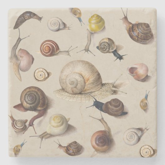 Snail Slug Garden Pet Gastropod Botanical Snails ストーンコースター (正面)