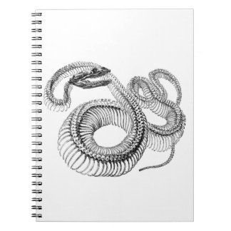 Snake Skeleton Notebook ノートブック