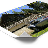 SnakeNGrass ポスター (角)