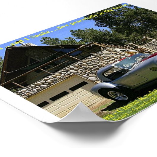 SnakeNGrass ポスター (角)