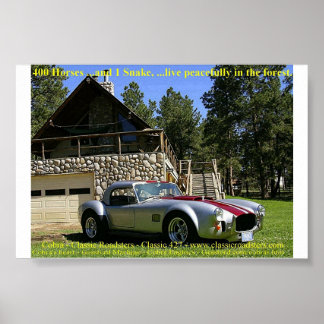 SnakeNGrass ポスター