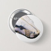 snakes- boa constrictor amazonica 缶バッジ (正面&裏面)