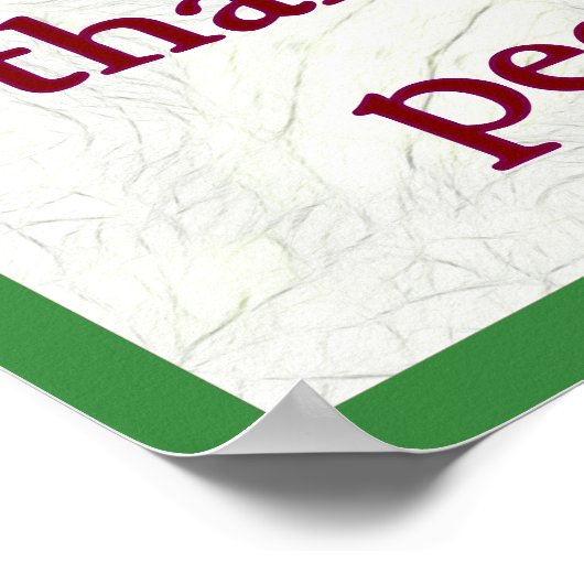 SNAP not ICE ポスター (角)