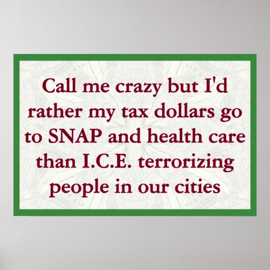 SNAP not ICE ポスター (正面)