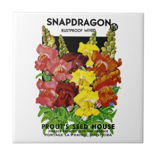 Snapdragonのヴィンテージの種の包み タイル (正面)