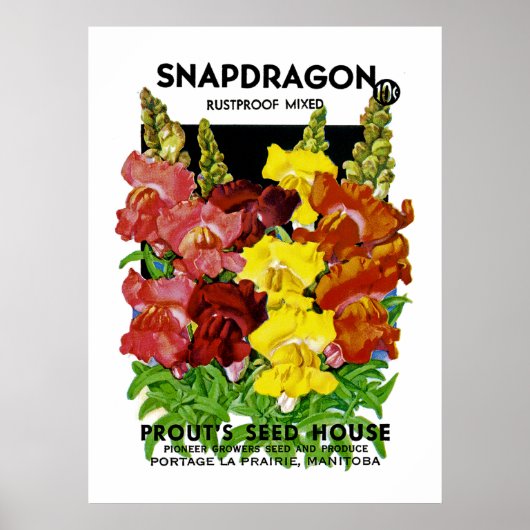 Snapdragonヴィンテージシードパケット ポスター (正面)