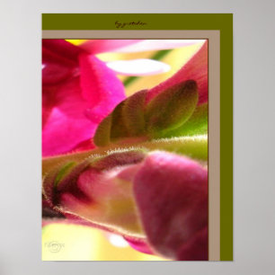 Snapdragon Blossom Close up PhotoPoster by gretche ポスター