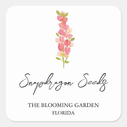 Snapdragon Seedsラベル スクエアシール (正面)