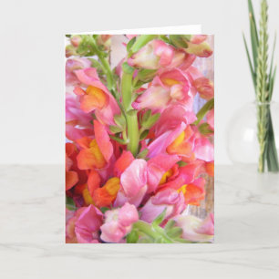 Snapdragonsの花束 サンキューカード