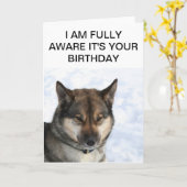 Snarkyのシベリアンハスキーのバースデー・カード カード (黄色い花)