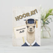 Snarky & Cute Graduation Cards - Llama & More シーズンカード (スタンド正面)