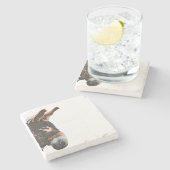 Sneak Peek - Donkey ストーンコースター (横)