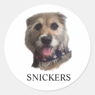 SNICKERS STICKER ラウンドシール