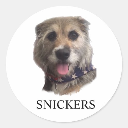 SNICKERS STICKER ラウンドシール (正面)