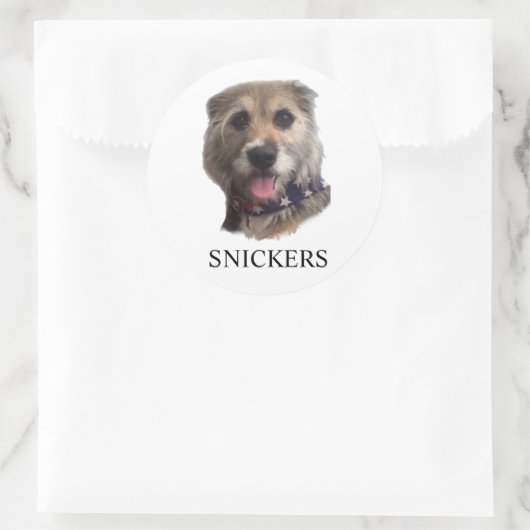 SNICKERS STICKER ラウンドシール (バッグ)