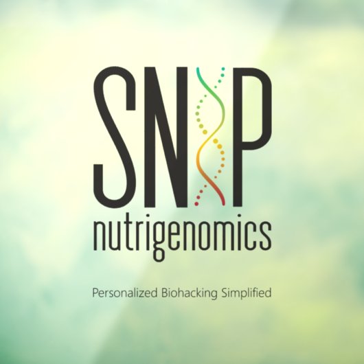 SNiP透過 ウィンドウサイン (シート3)