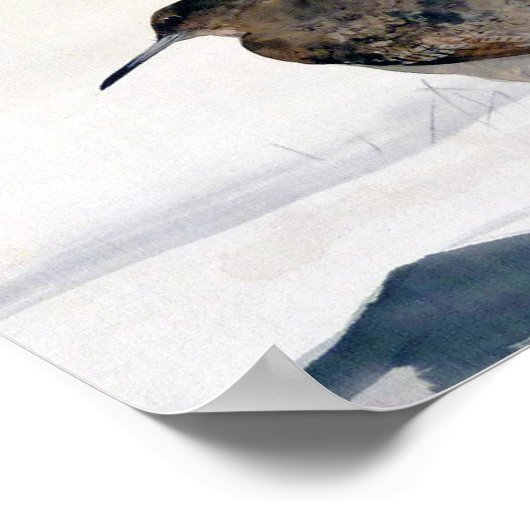 Snipe、Watanabe Seitei ポスター (角)