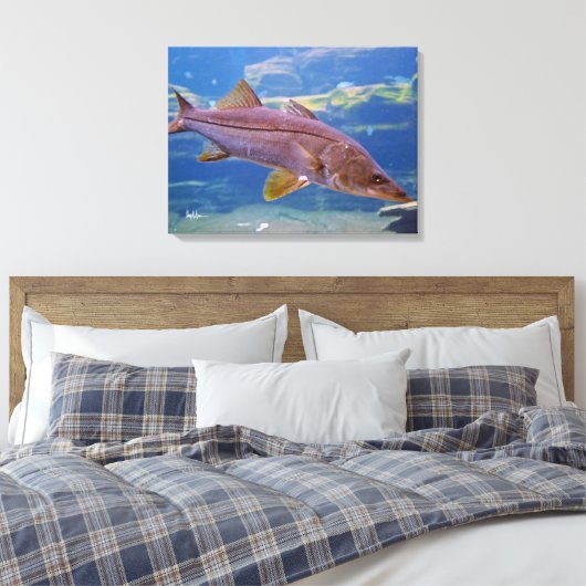 Snook Fish Canvas Print キャンバスプリント (インサイチュ (寝室))