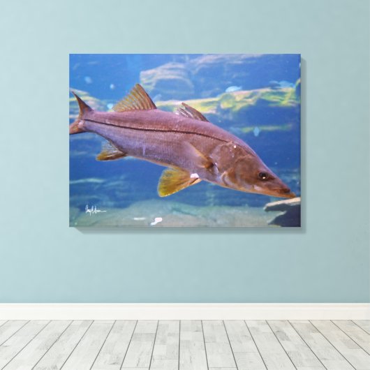 Snook Fish Canvas Print キャンバスプリント (インサイチュ (ウッドフロア))