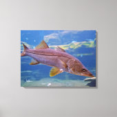 Snook Fish Canvas Print キャンバスプリント (正面)
