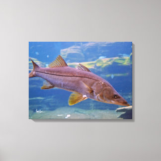 Snook Fish Canvas Print キャンバスプリント