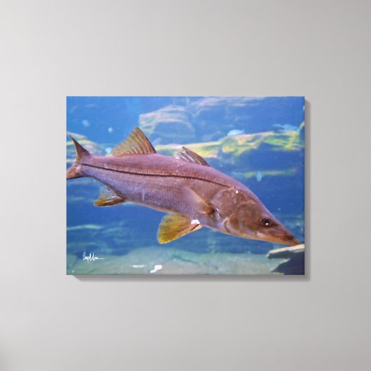 Snook Fish Canvas Print キャンバスプリント (正面)